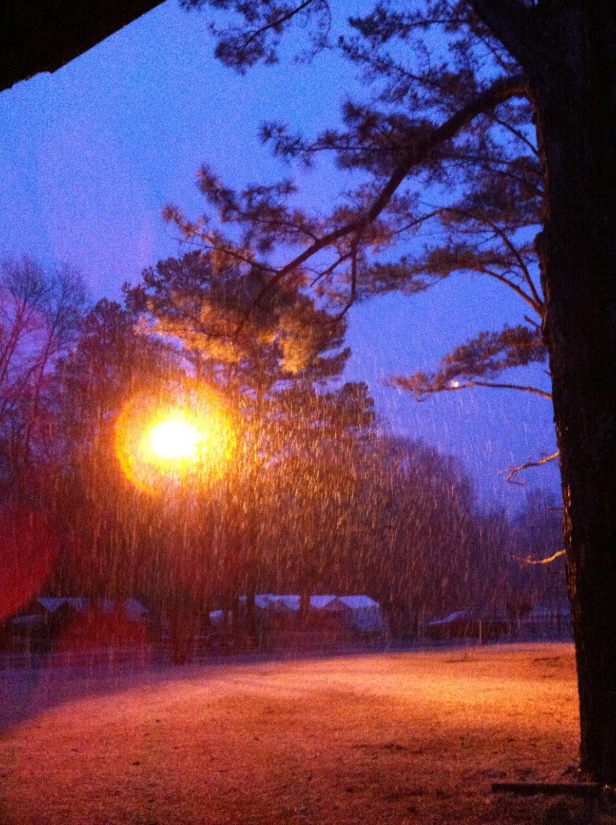 I Didn’t Choose This&nbsp;Life