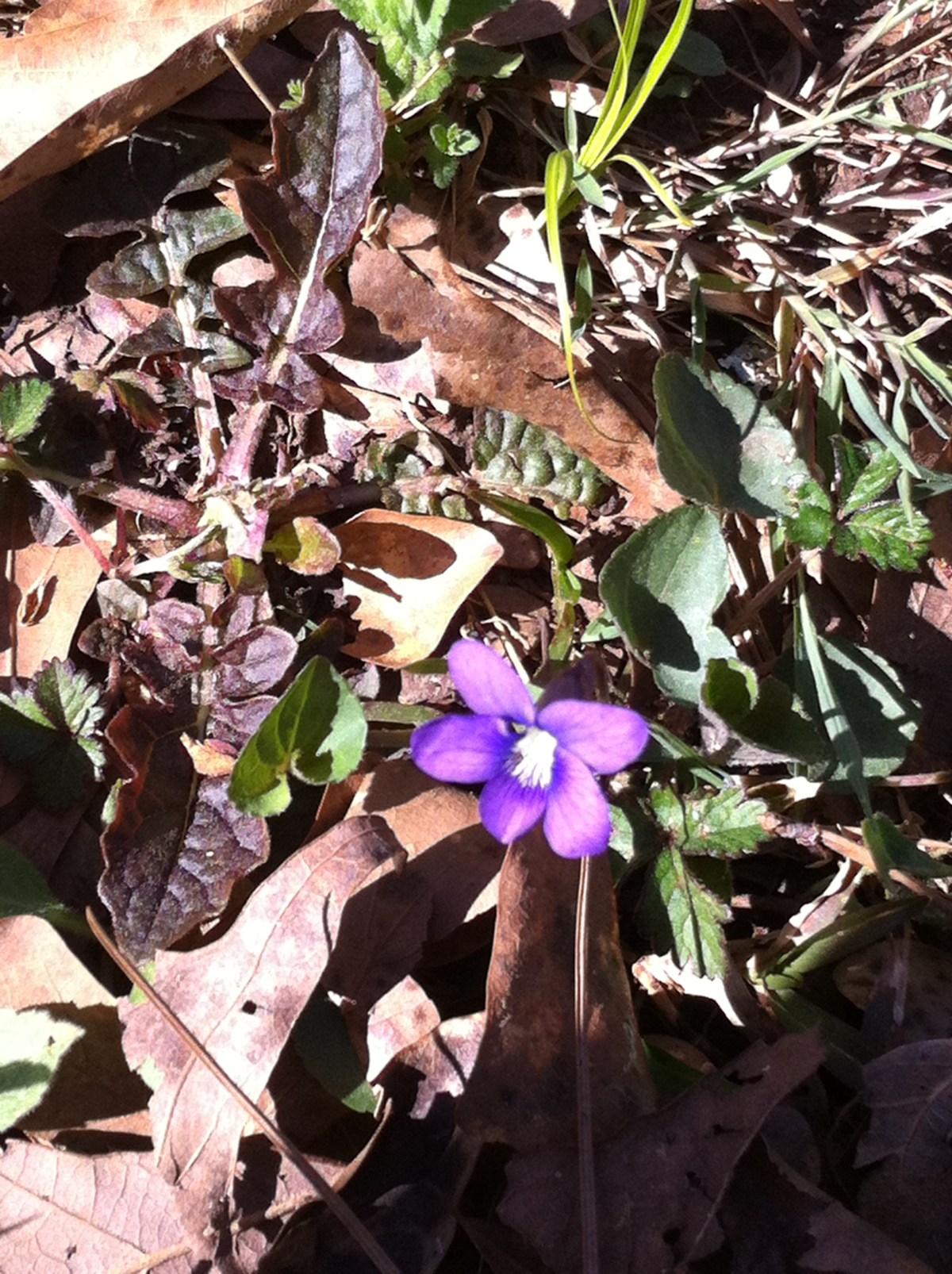 When it Doesn’t Feel Like&nbsp;Grace