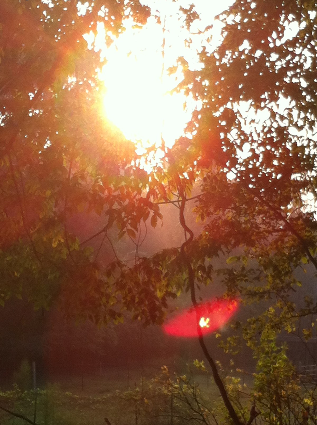 Just Passing Through