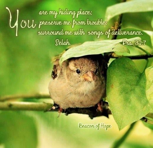 Songs in the&nbsp;Night