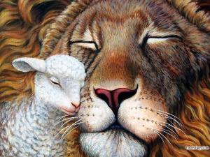 lion-and-lamb-best-friends-fahad-photographer