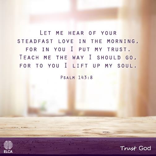 steadfast-love-in-the-morning