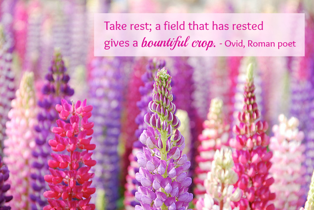 take-rest-by-ovid