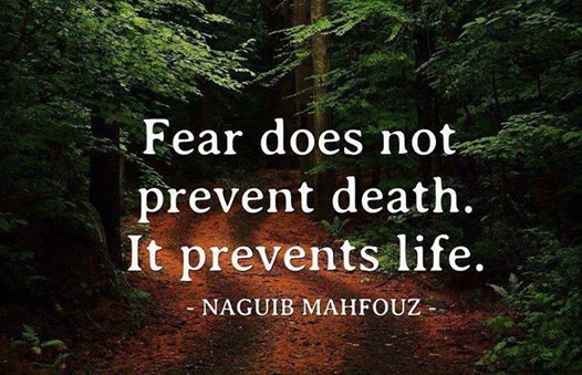 fear does not prevent death it prevents life