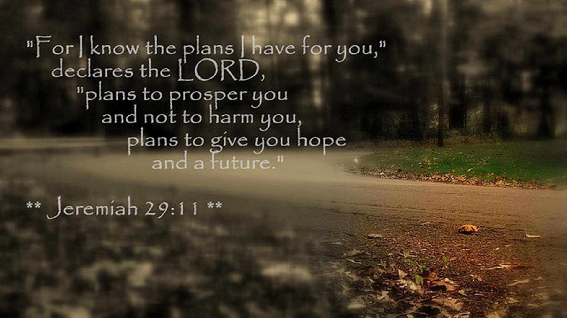 jeremiah 29 11 road.jpg