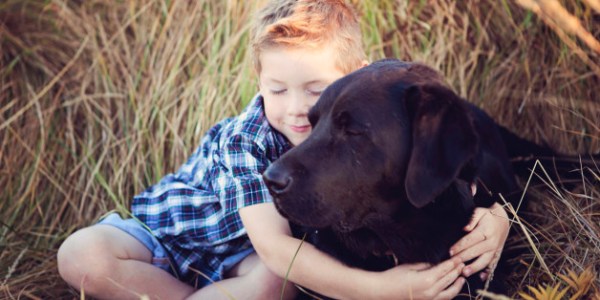 hug boy and dog huffington post