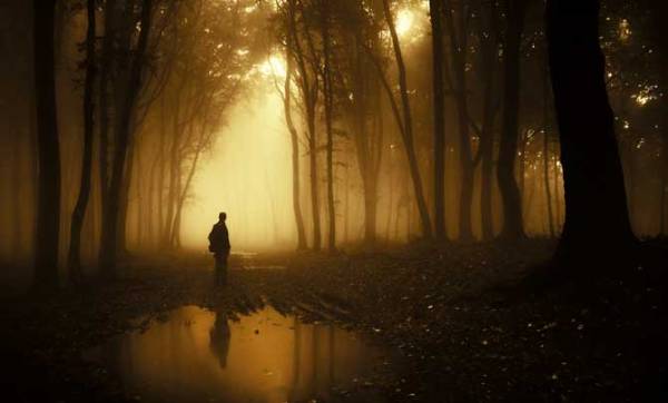 man in woods with glowing light