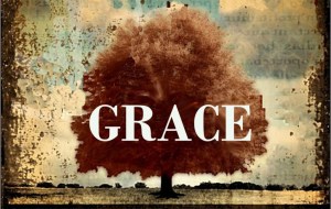 grace tree