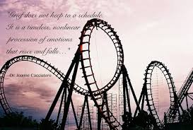 roller coaster 2 better image