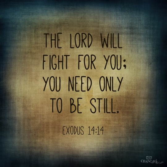 the lord will fight for you