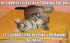 of course i sleep its exhausting keeping you up all night
