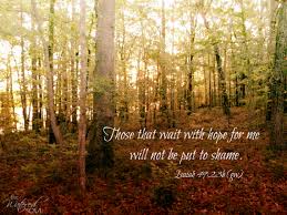 those that wait in hope shall not be ashamed