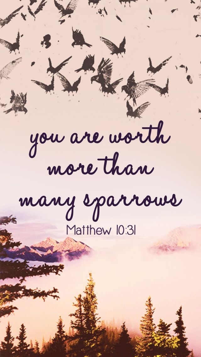 you are worth more than many sparrows