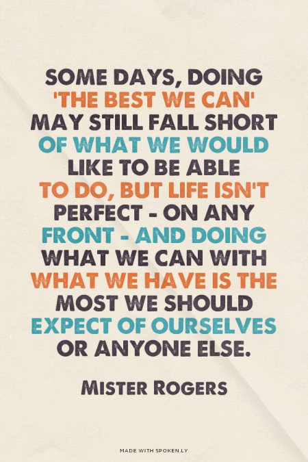 the best we can falls shour