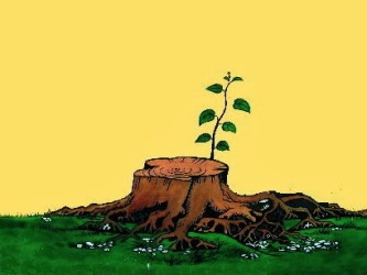 JESSES-TREE-GREEN-SHOOT