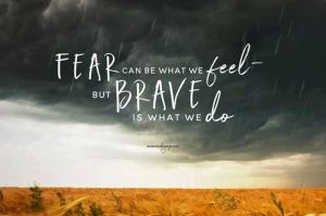 fear is what we feel brave is what we do