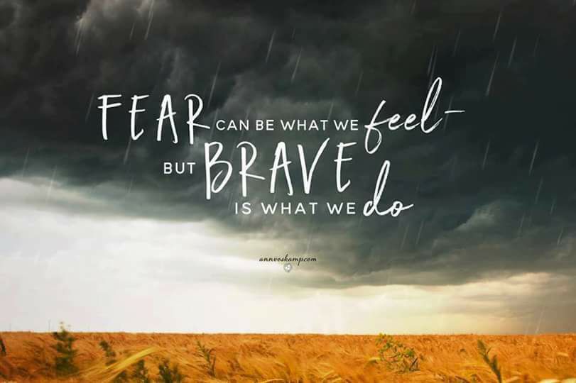 fear is what we feel brave is what we do