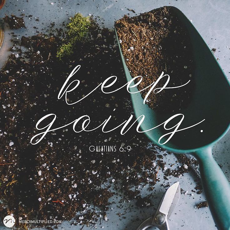 Use The Gifts God Has Given&nbsp;You