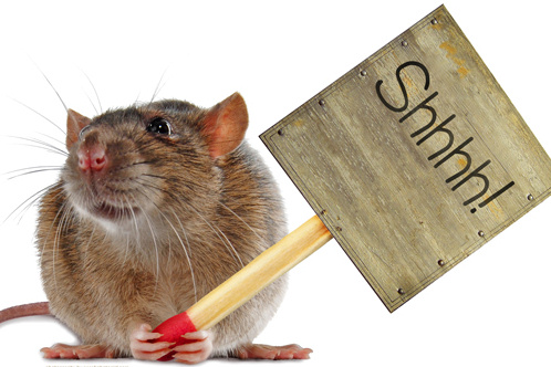 quiet_as_a_mouse (2)