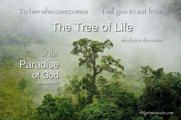 to him who overcomes