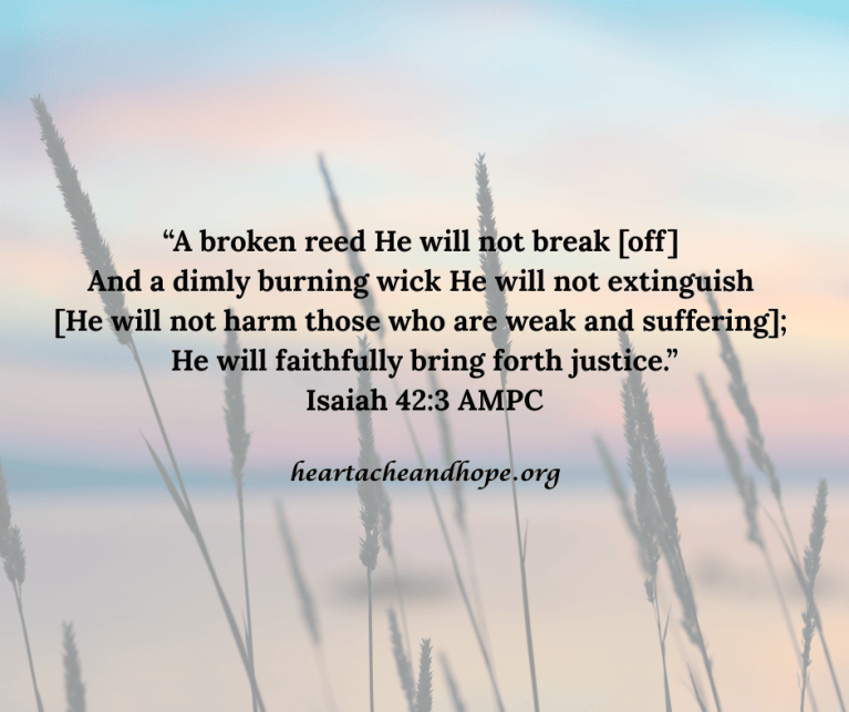 We Are ALL Bruised Reeds from Henri Nouwen – thelifeididntchoose