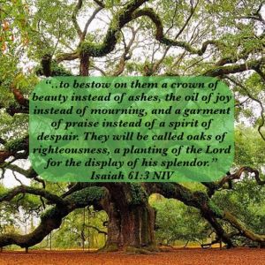 crown of beauty planting of the lord