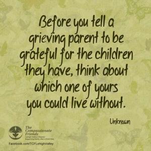 before you tell a grieving parent to be grateful which of yours could you live without