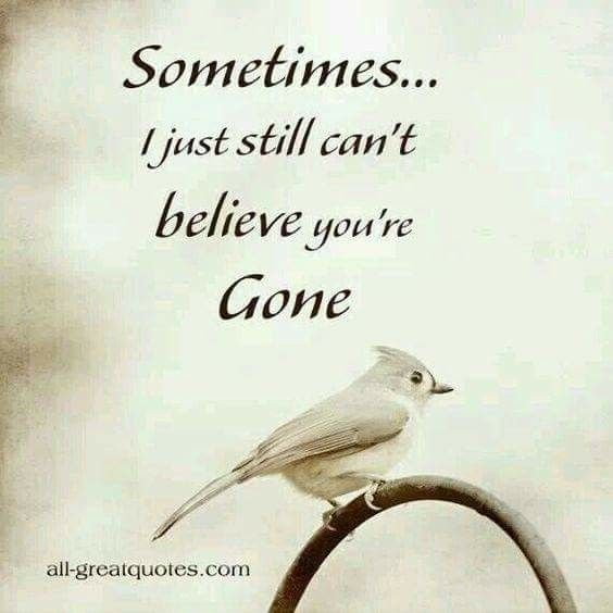 sometimes cant believe you are gone