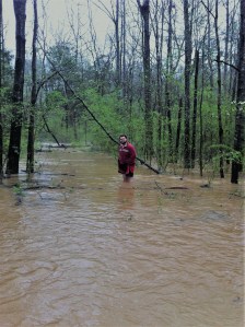 julian and creek in 2014