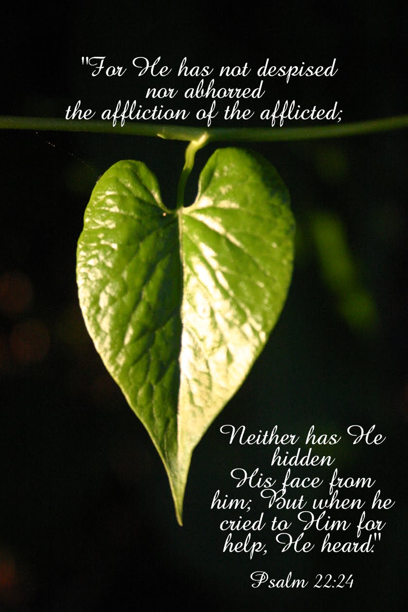 Refuse to Hide: Lament As&nbsp;Worship