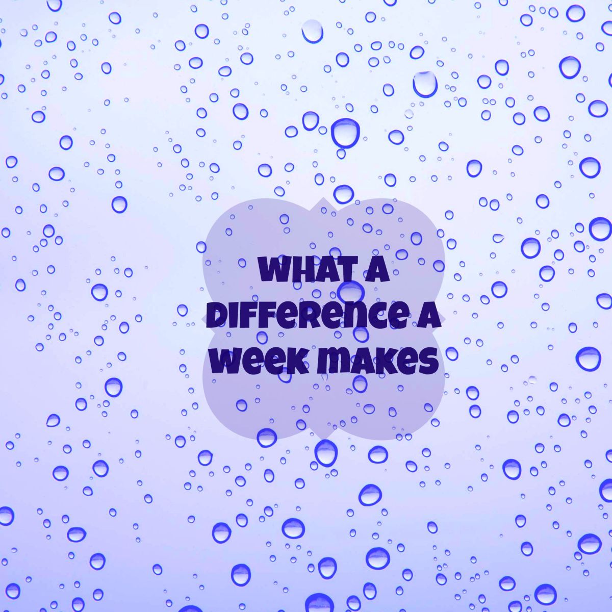 What A Difference A Week&nbsp;Makes!