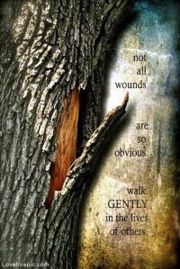 walk gently tree bark
