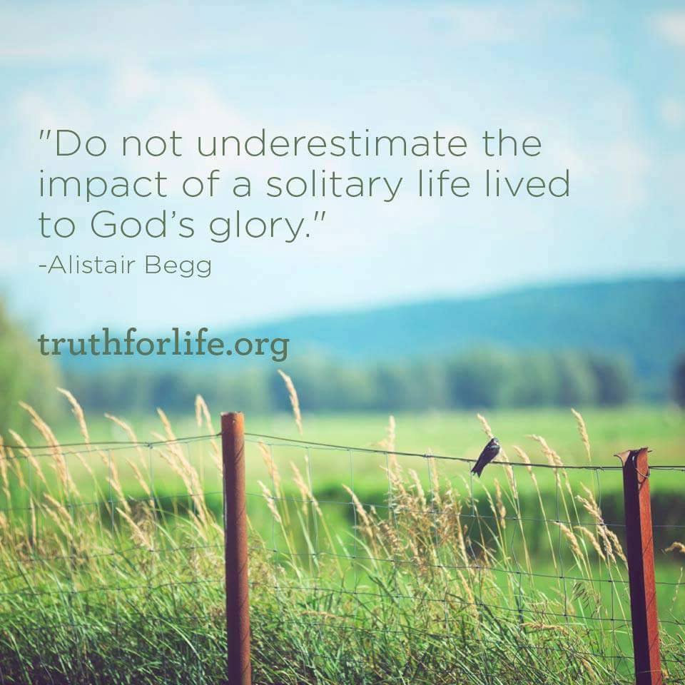 Knocked Down But Not Destroyed:  Earthly Days, Eternal&nbsp;Impact