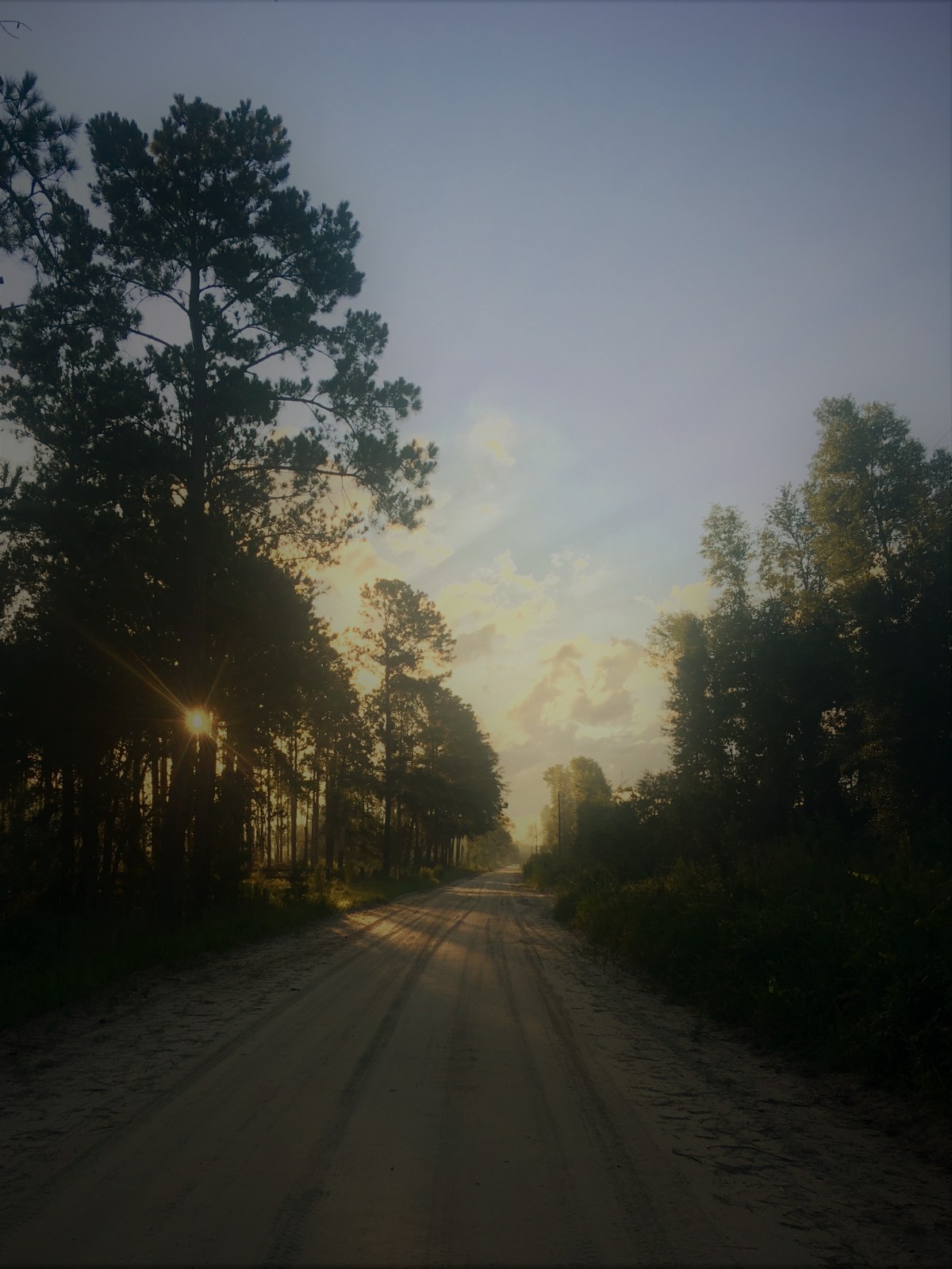 Let The Morning Come In Our&nbsp;Hearts