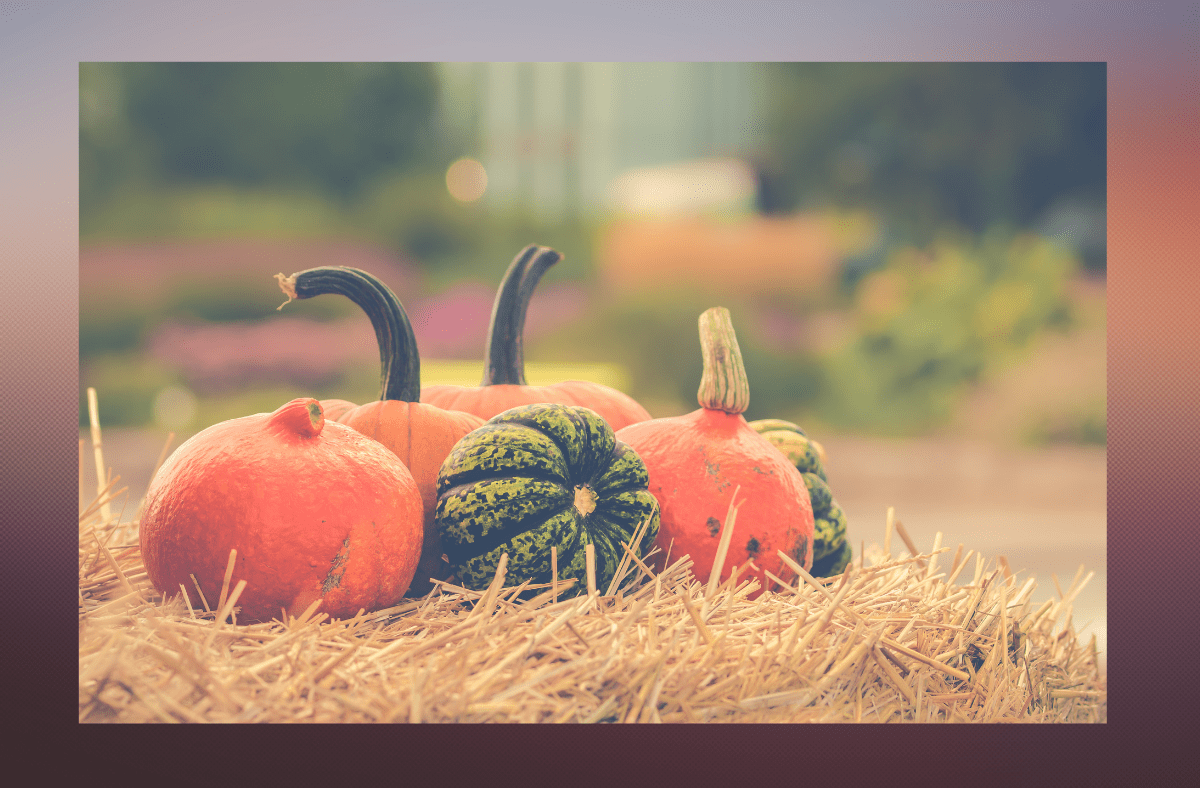 Supporting Grieving Hearts This&nbsp;Thanksgiving