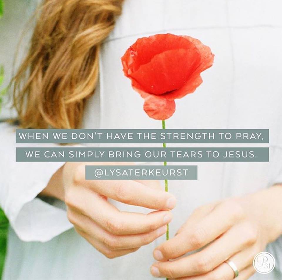 Scripture Journal Challenge 2024:  Tears Won’t be&nbsp;Forever