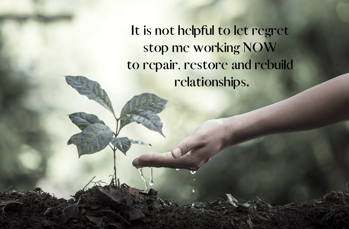 Today Is The Second Best Time to Make Amends (or Plant a&nbsp;Tree).