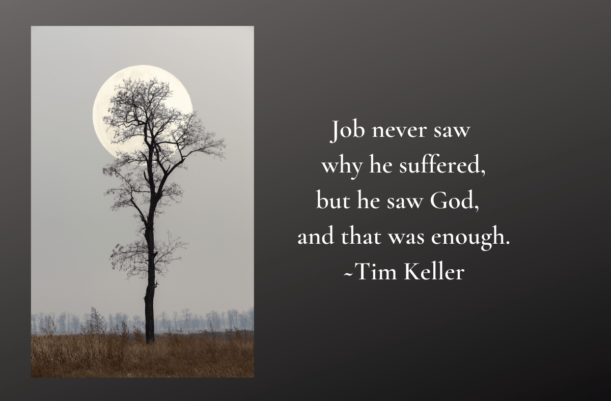 I’ve Learned to Live Without&nbsp;Answers