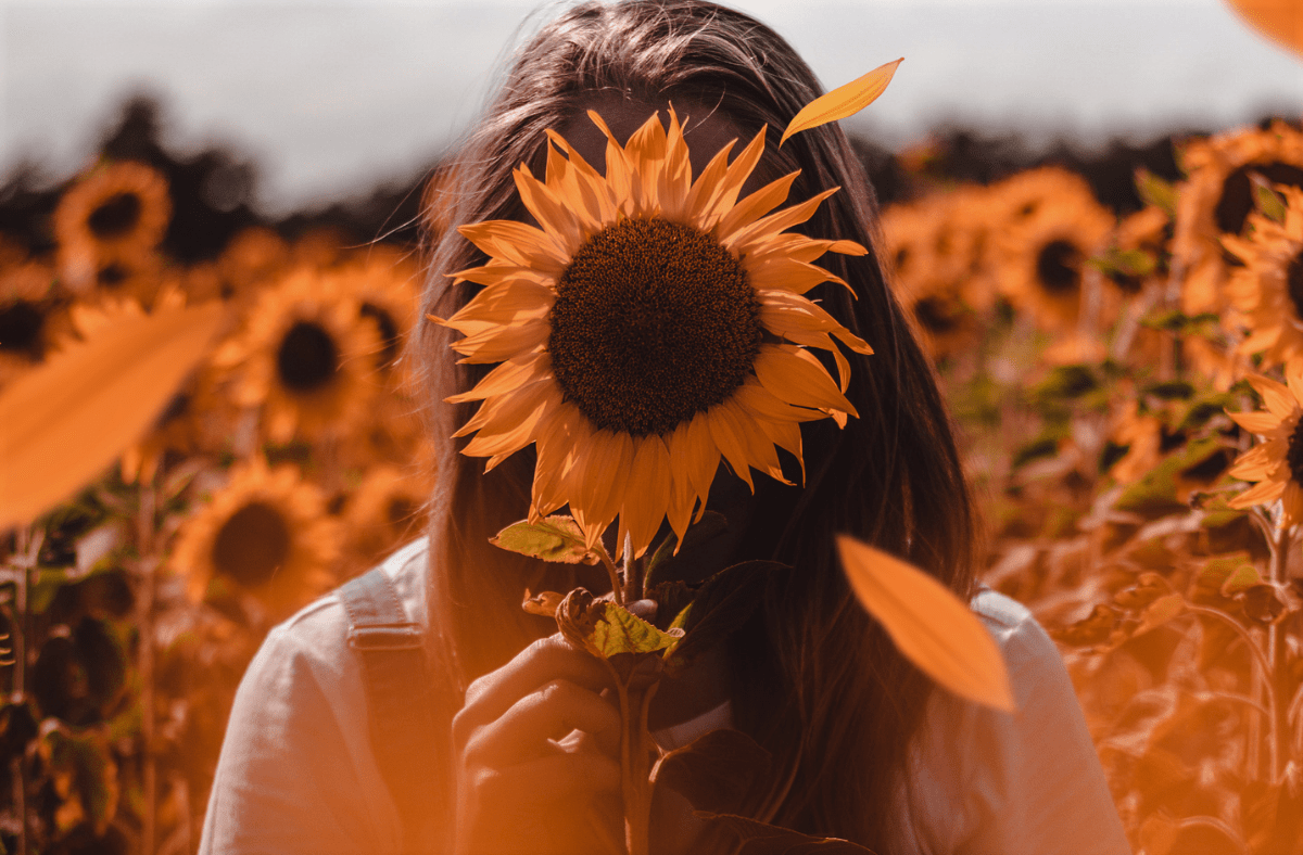 Face Toward the&nbsp;Son