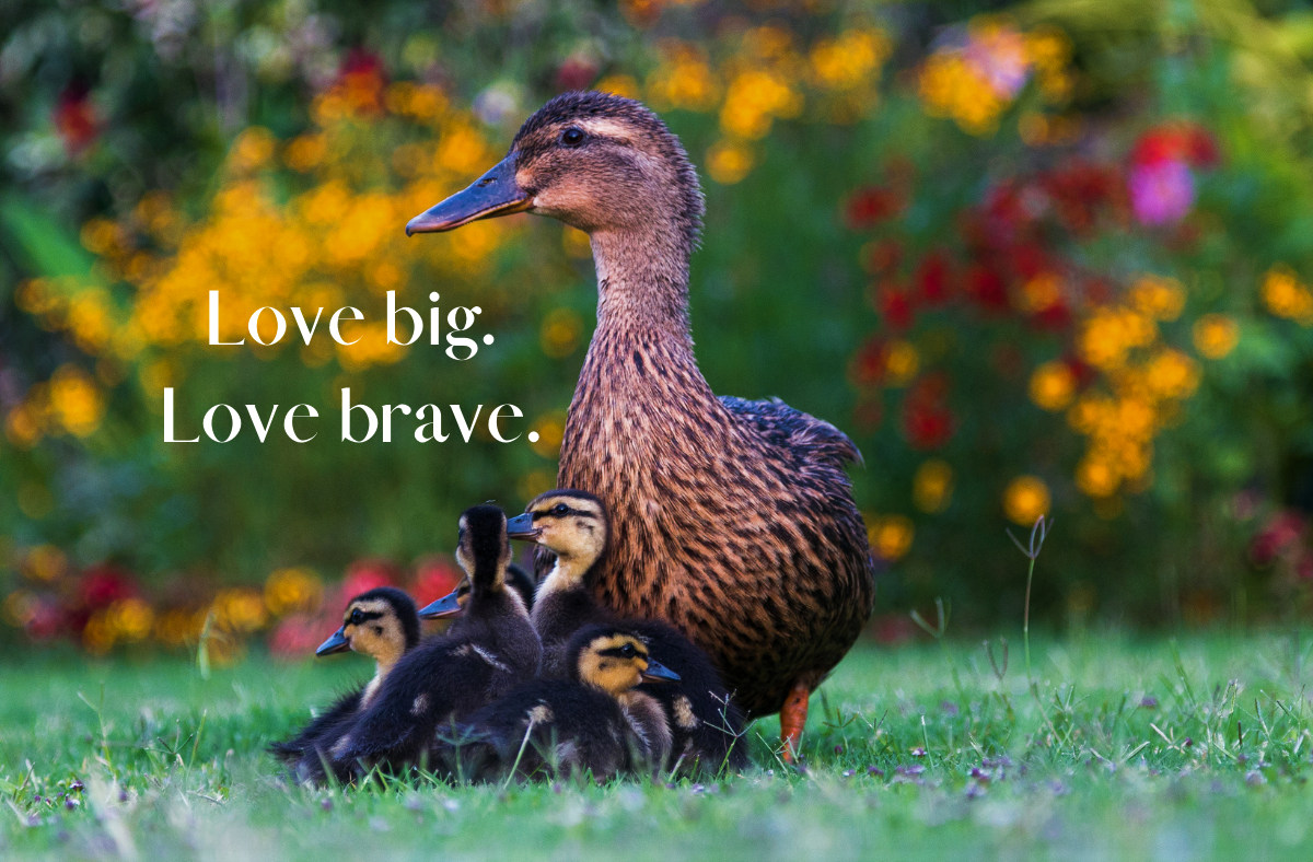 Fellow Grievers- Love BIG, Love&nbsp;BRAVE.