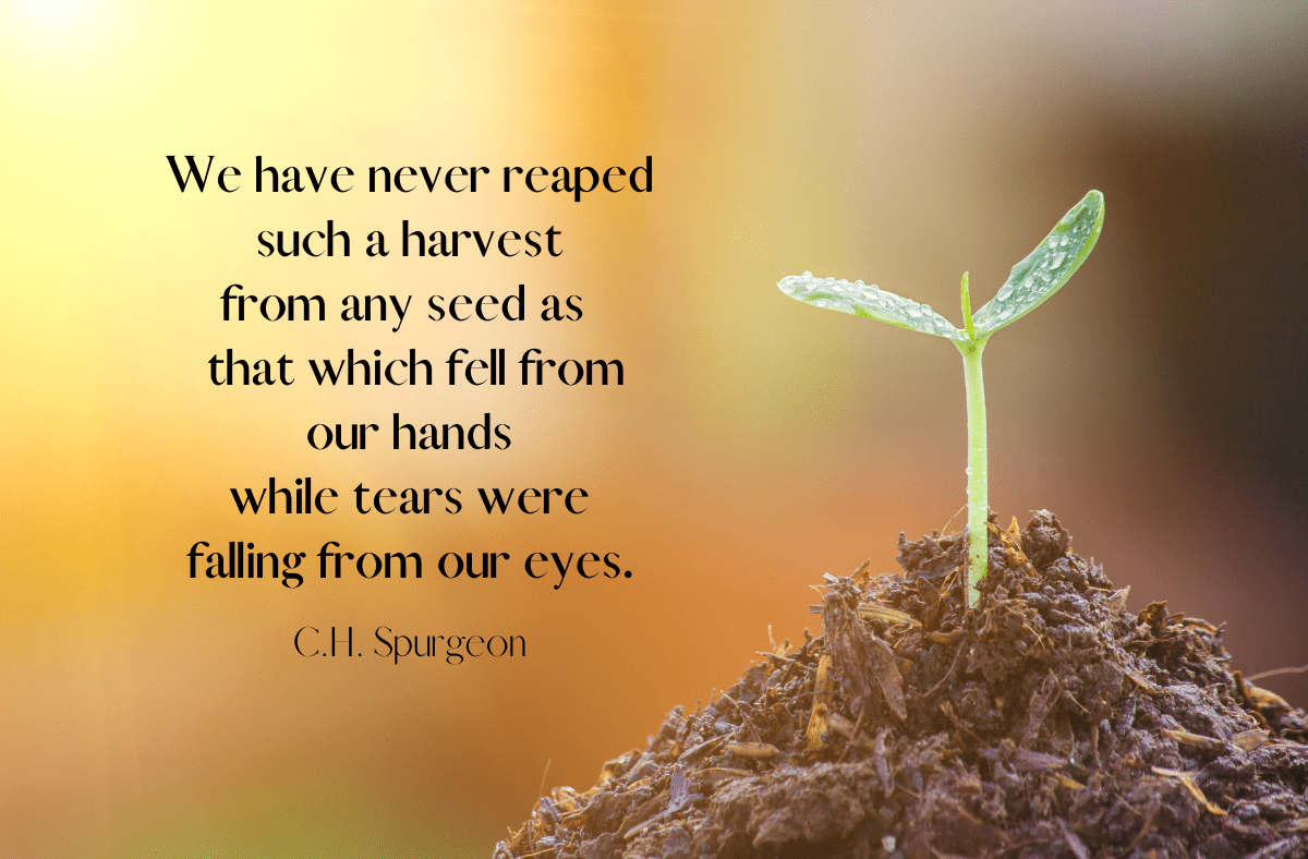 A Lesson From the House of&nbsp;Mourning