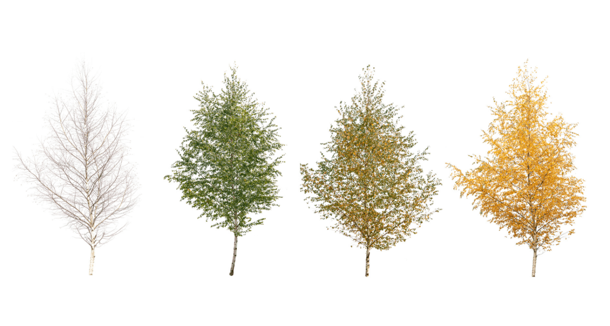 How My Heart Marks the&nbsp;Days