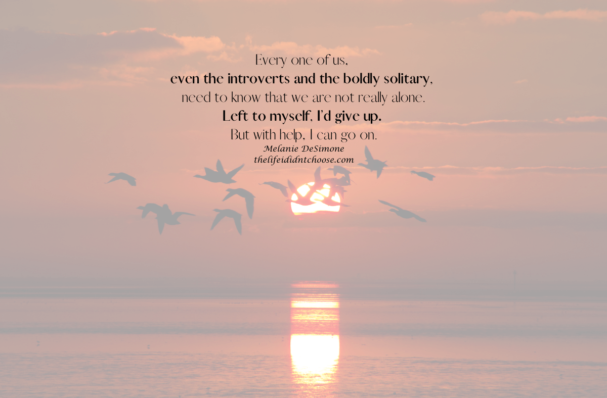 Lessons from Geese: Finding&nbsp;Courage