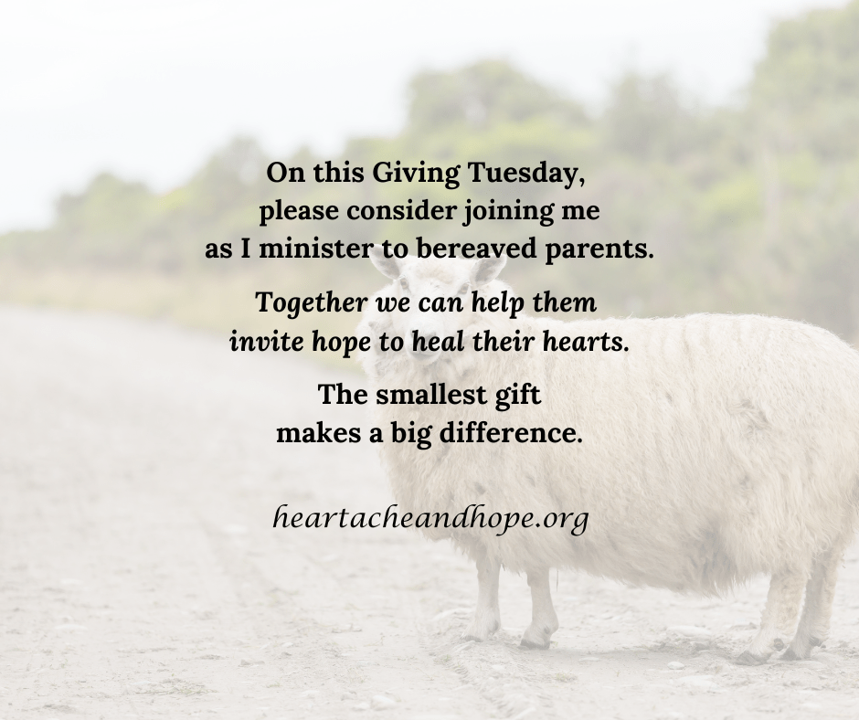 Giving Tuesday:  You Can Make a&nbsp;Difference